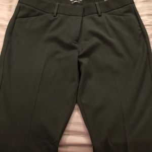 Express Editor Size 10 Short